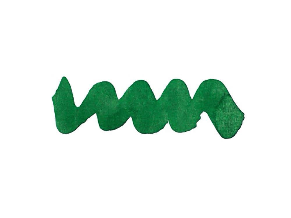 Encrier Diamine Forever Ink Collection-Encre permanente Amazonia, Vert, 50ml