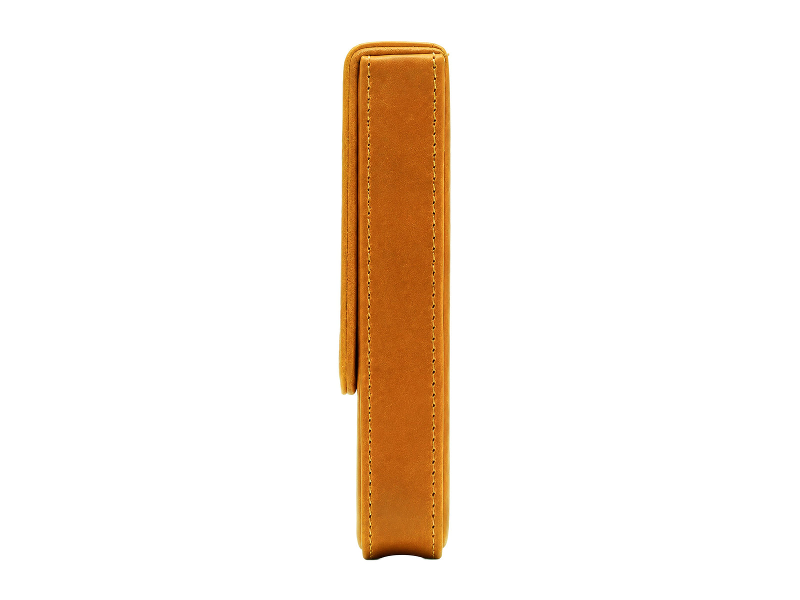 Étui à stylos Iguana Camel pour 3 articles d'écriture, CASE-CAMEL-3