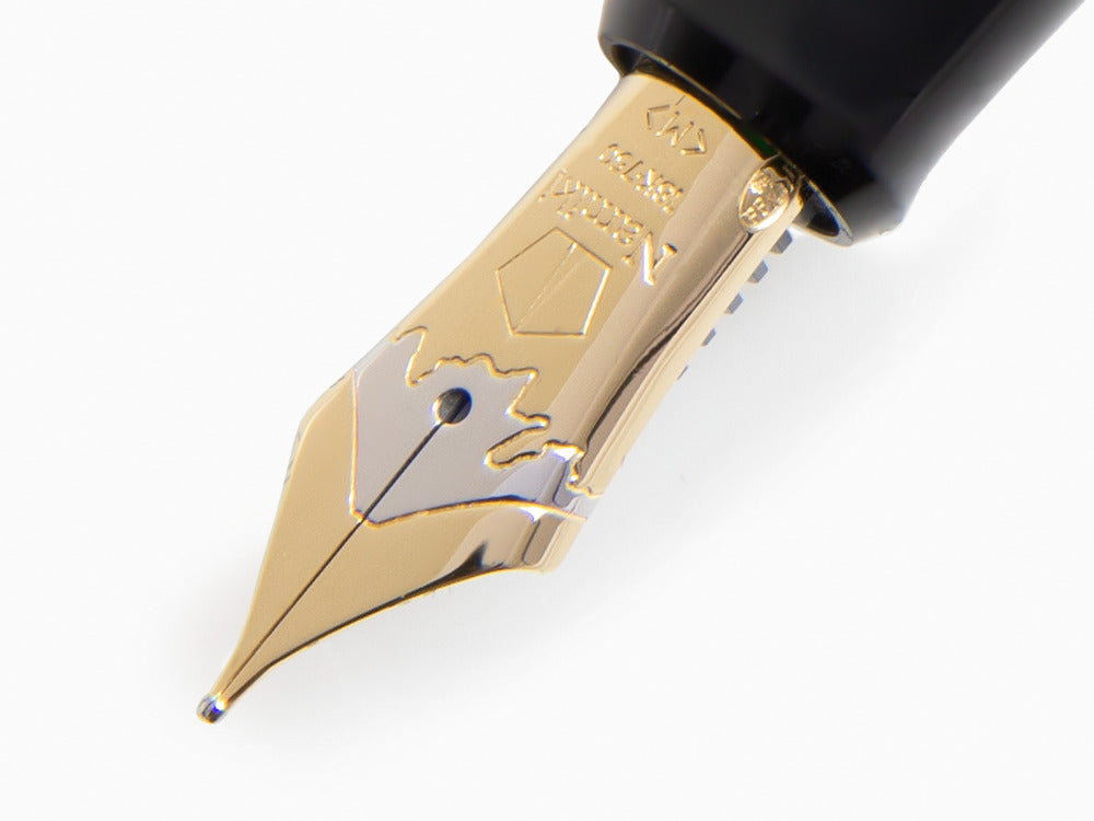 Stylo Plume Namiki Yukari Cherry Blossoms at Night, Maki-e, FNYC-1-YOZ