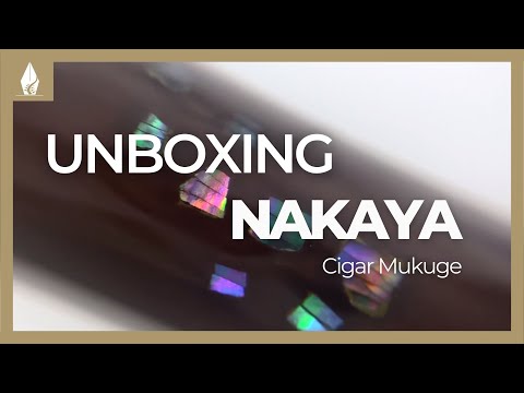 Stylo Plume Nakaya Cigar, Mukuge, Laque urushi sur ébonite
