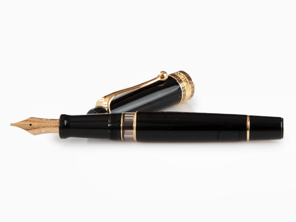 Stylo Plume Aurora Optima, Résine, Noir, Plaqué or, 997N