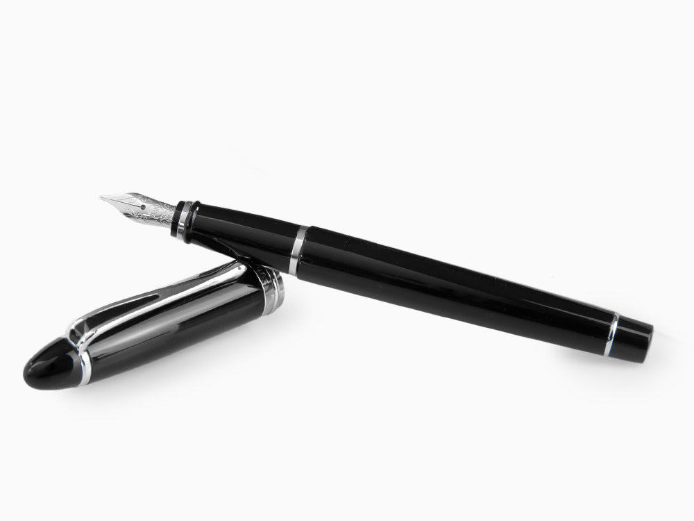 Stylo Plume Aurora Ipsilon en Résine Noire -B12C