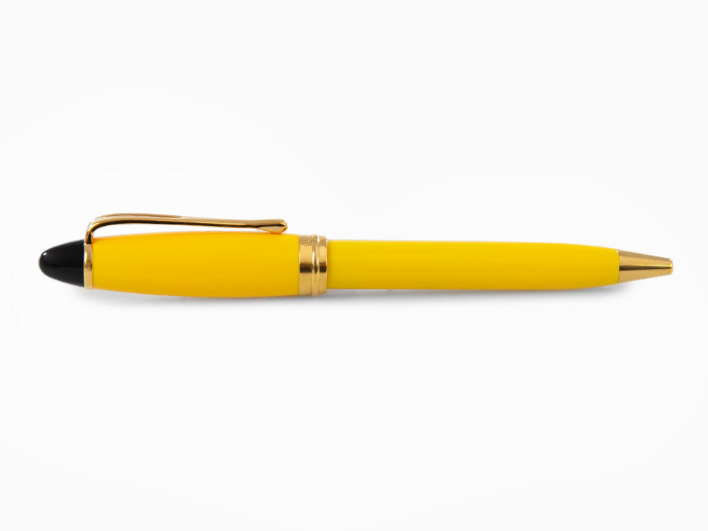 Stylo bille Aurora Ipsilon, Résine, Attributs or, B31Y