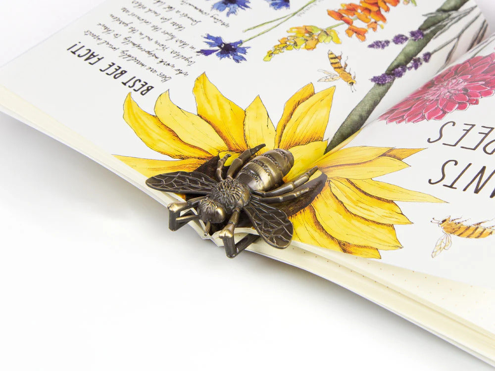 Signet Esterbrook Accesorios, EBEE