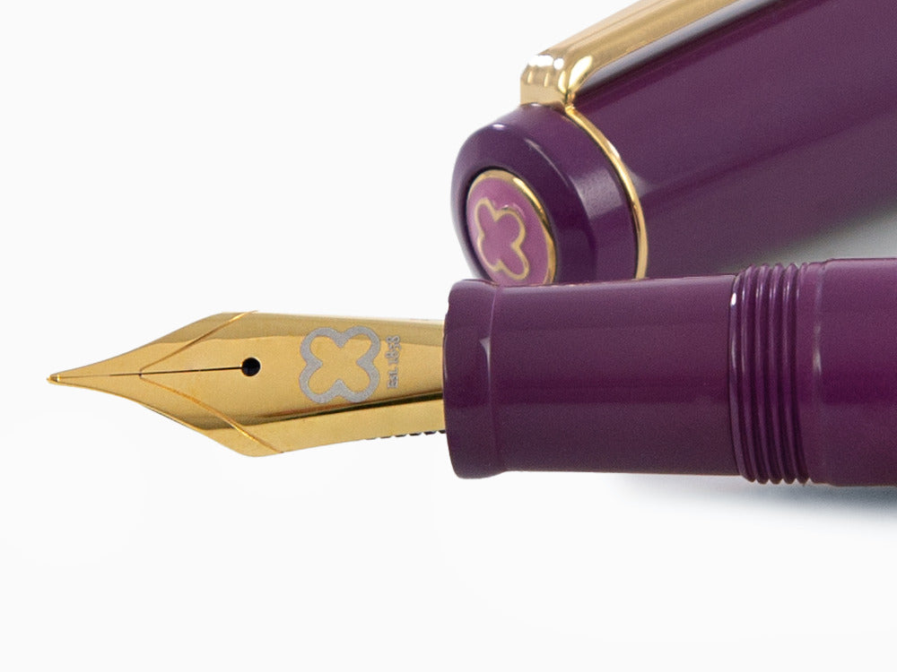 Stylo Plume Esterbrook Model J Blackberry Ebonite, EBJBB