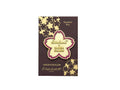 Pin's Esterbrook x Sakura Flower Limited Edition
