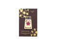 Pin's Esterbrook x Sakura Ink Limited Edition