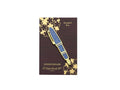 Pin's Esterbrook x Sakura Pen Limited Edition