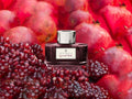 Encrier Graf von Faber-Castell Garnet Red, 75ml