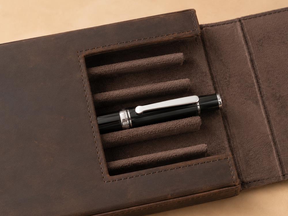 Étui à stylos Iguana Marron 6, PEN-CASE-BROWN-6