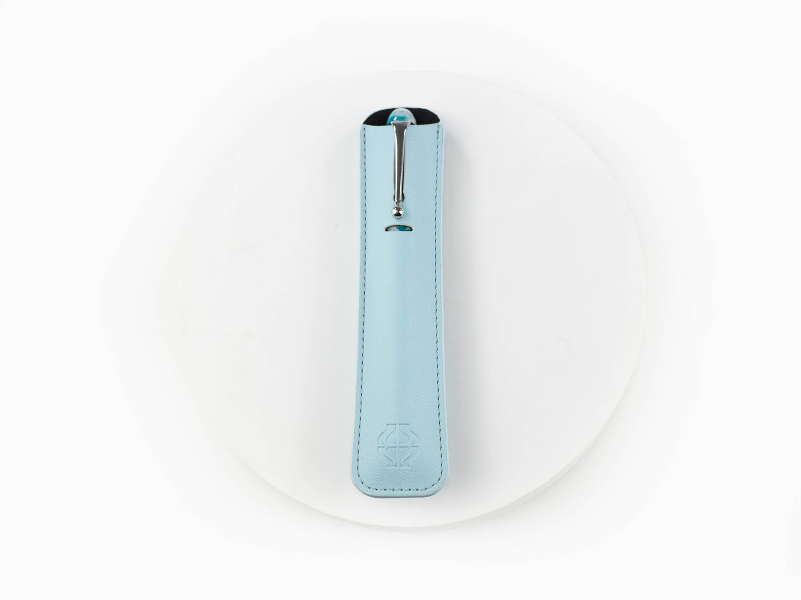 Étui d’écriture Iguana Seafoam Green