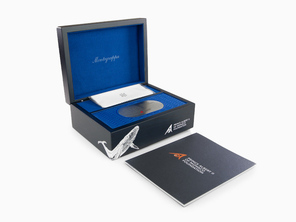 Stylo Plume Montegrappa Prince Albert II Of Monaco Oceans, LE, ISFMN-SE