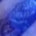 Halcyon Blue