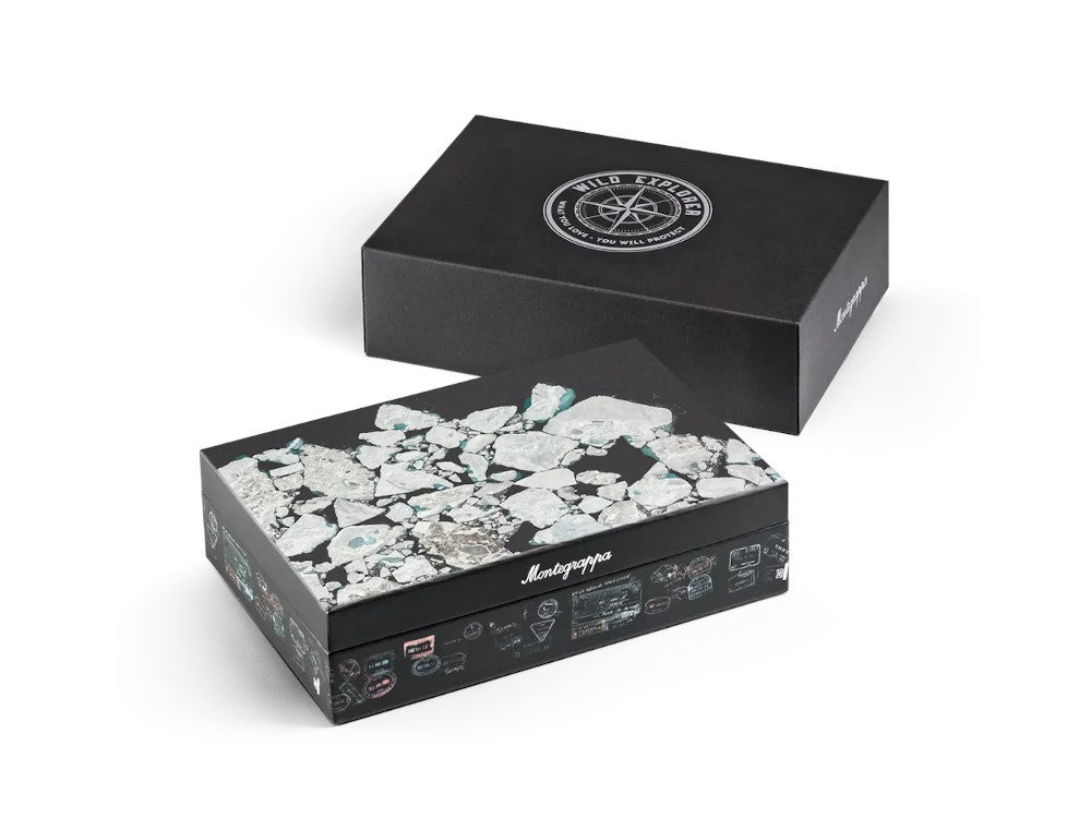Stylo Plume Montegrappa Wild: Arctic Ice, Edition Limitée, ISWDR-IA