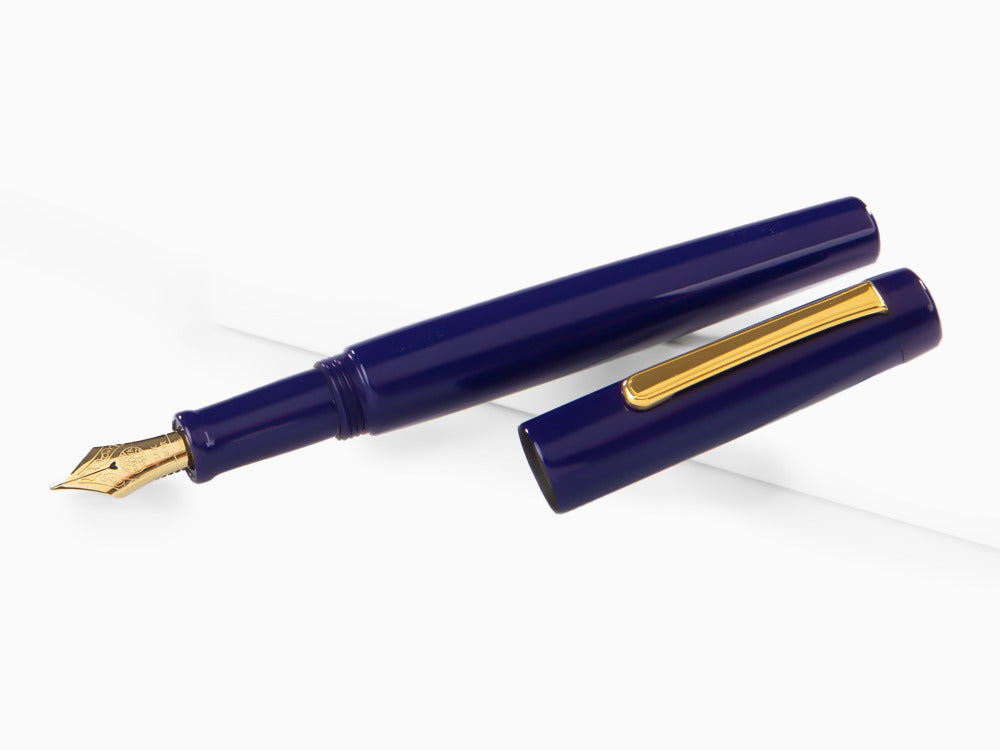 Stylo Plume Nakaya Neo-Standard Shobu, Ebonite