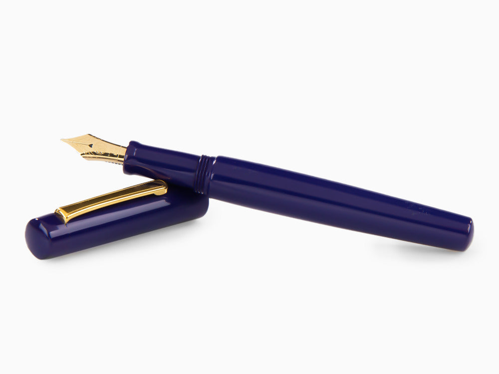 Stylo Plume Nakaya Neo-Standard Shobu, Ebonite