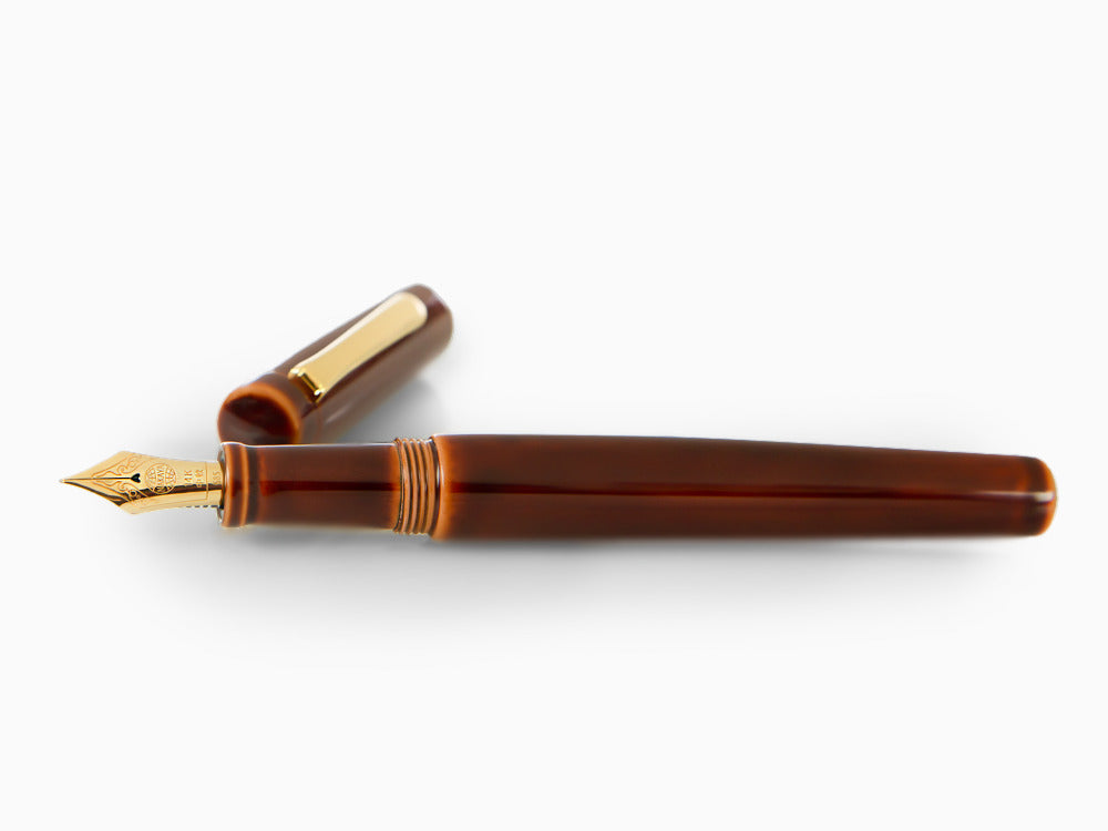 Stylo Plume Nakaya Neo-Standard, Toki-Tamenuri, Ebonite