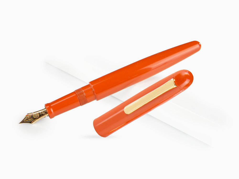 Stylo Plume Nakaya Writer Long, Arai Shu, Ebonite