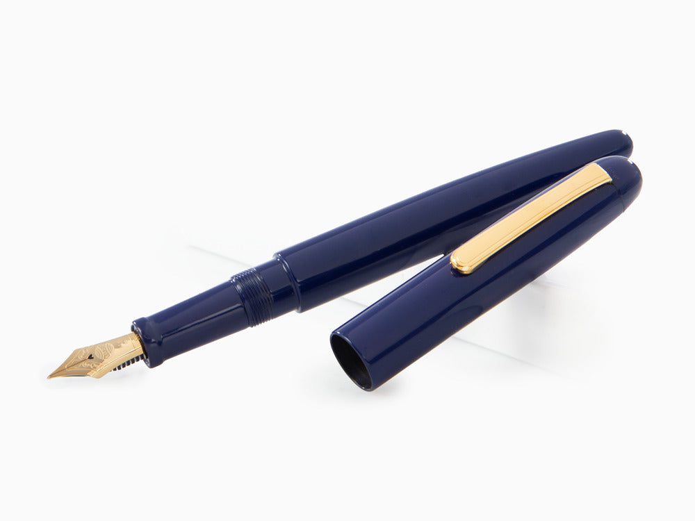Stylo Plume Nakaya Writer Kikyo, Long, Ebonite