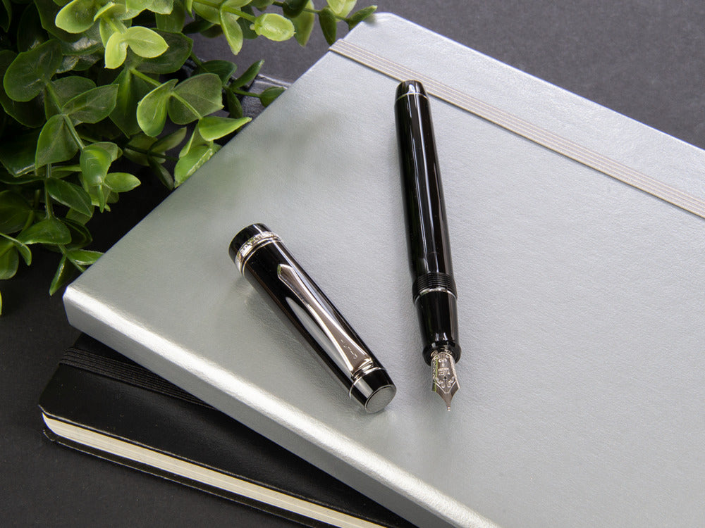 Stylo Plume Pilot Custom Heritage 91, Résine, Chrome, Noir, NH91N