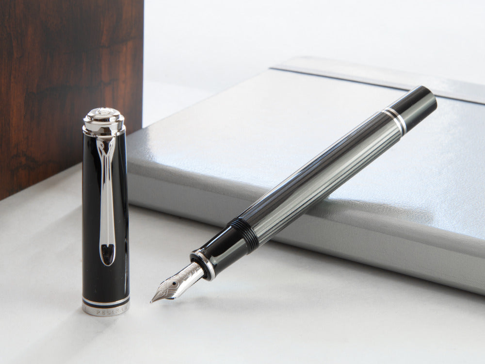 Stylo Plume Pelikan Souverän M605 Stresemann, Palladium, 813624