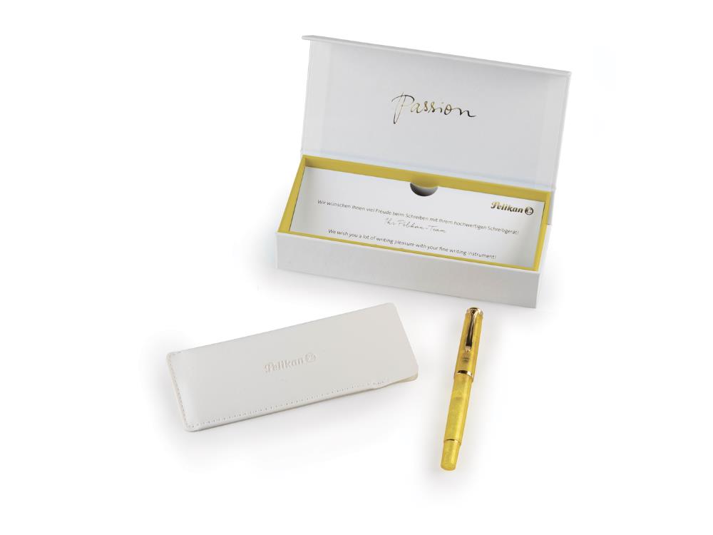 Stylo Plume Pelikan M200 Pyrite, Édition spéciale, 828819