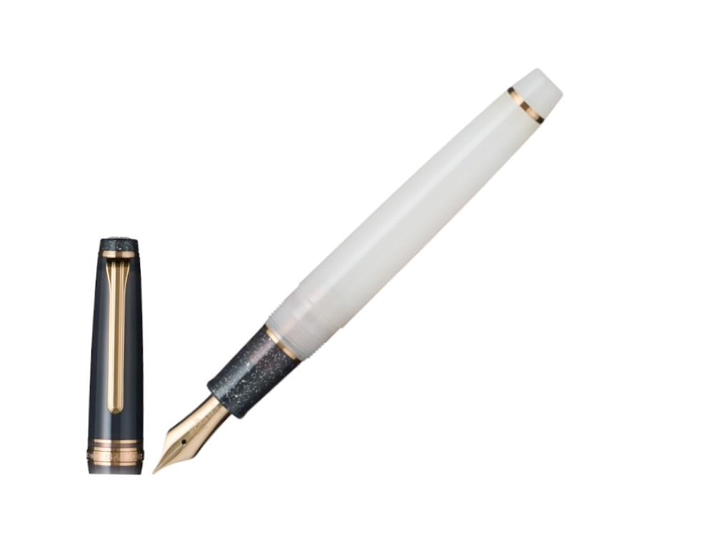 Stylo Plume Sailor PG Dried Flower Black Rose, 11-8630-420