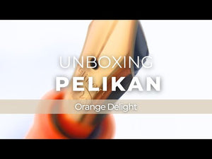 Stylo Plume Pelikan M200 Orange Delight, Édition spéciale, 825139