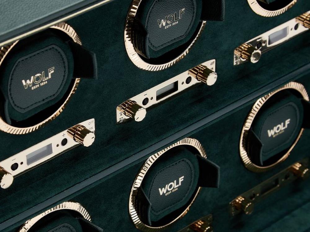 Remontoir WOLF British Racing, 8 Montres, Vert, 792541